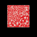 Square Scarf Red For Women