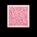 Safari Square 90 Scarf Cream/ Pink For Women M98121