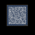 Safari Square 90 Scarf Blue For Women M97895