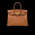 Birkin 35 Structured Leather Top-Handle Bag